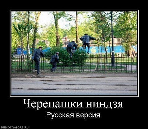 http://cs10363.vkontakte.ru/u55446533/102591557/x_ba790dde.jpg